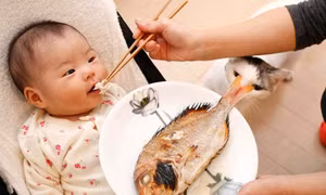 Hải sản giàu canxi nhưng cho trẻ ăn thế nào mới đúng?