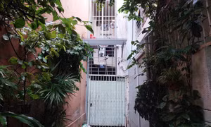 Phát hiện bé gái sơ sinh trong túi ni lông, thi thể có 2 vết thương
