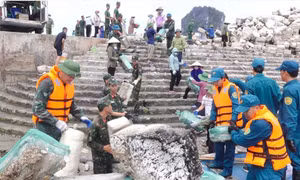 Xung kích, tình nguyện chung tay bảo vệ môi trường