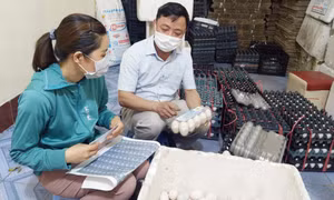 Tạo sức bật cho nông sản từ liên kết sản xuất