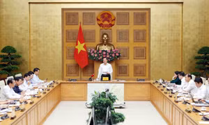 Phó Thủ tướng Lê Minh Khái "chốt" thời hạn trình phương án điều chỉnh giá điện, dịch vụ y tế