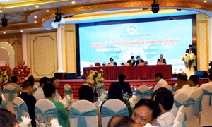TP Cẩm Phả tiếp xúc, gặp gỡ doanh nghiệp 