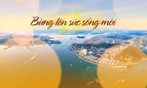 Bừng lên sức sống mới