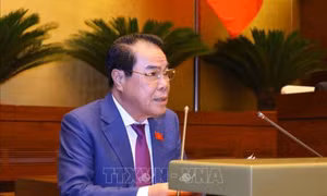 99,5% kiến nghị của cử tri được giải quyết, trả lời