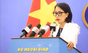 Việt Nam lên án mạnh mẽ các hành động tấn công bạo lực nhằm vào dân thường