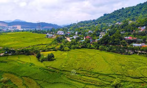 Đến Hòa Bình, ghé thăm Lương Sơn và thị trấn Kỳ Sơn mùa lúa chín