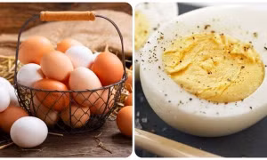 Số lượng trứng nên ăn trong một tuần cho từng nhóm tuổi