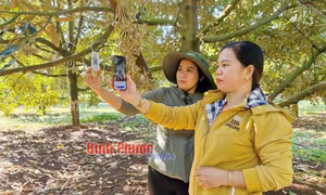 Bình Phước: Nông dân thời đại số 