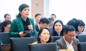 ĐBQH Nguyễn Thị Thu Hà: Cân nhắc việc đổi mới TAND cấp tỉnh, cấp huyện theo thẩm quyền xét xử
