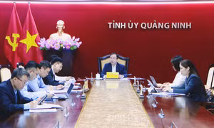 Chuẩn bị chu đáo cho lễ phát động phong trào thi đua “Thanh xuân dâng Đảng”