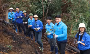 Thanh niên Đầm Hà phát huy nhiệt huyết, trí tuệ của tuổi trẻ