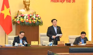 Thảo luận kỹ lưỡng nhiều dự án luật trước khi trình Quốc hội tại kỳ họp thứ 7