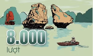 8.000 lượt - là lượng khách tham quan Vịnh Hạ Long trung bình mỗi ngày từ đầu năm 2024 đến nay