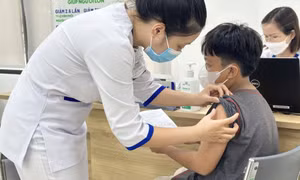 Liên tiếp phát hiện nhiều ổ dịch chó dại, số ca tử vong tăng mạnh