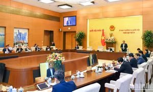 Cần phải giữ nguyên tắc: Quốc lộ là Trung ương lo, tỉnh lộ là địa phương lo