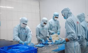 Xuất khẩu đón nhiều tín hiệu vui ngay từ đầu năm