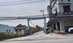 Bắt đối tượng chém vợ, truy sát mẹ nuôi ở Long An