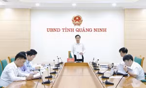 UBND tỉnh cho ý kiến về công tác quản lý, sắp xếp lại, xử lý các cơ sở nhà, đất 