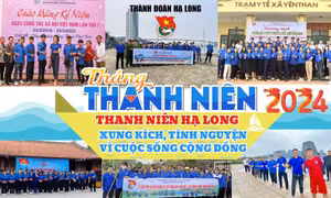 Tuổi trẻ xung kích, sáng tạo vì cộng đồng: “Dưỡng tâm trong, rèn trí sáng”