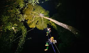 Cắm trại, ngủ võng trên cây cao giữa rừng sâu