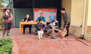 TX Quảng Yên: Chủ động tiêm phòng bệnh dại cho chó, mèo nuôi trước khi sang hè