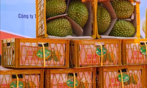 Nông sản Việt tham gia sâu hơn vào chuỗi cung ứng nông sản toàn cầu