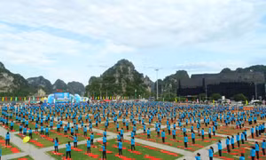 Sắp diễn ra Festival Yoga mùa hè tại Hạ Long