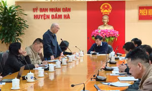 Nhanh chóng khoanh vùng, dập dịch bệnh dại tại Đầm Hà