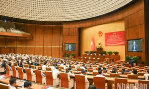 Quốc hội không ngừng đổi mới, sâu sát thực tiễn, đáp ứng yêu cầu cấp bách của thực tiễn