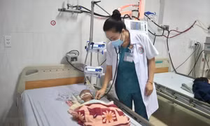 Bộ Y tế: Phát hiện sớm, xử lý triệt để ổ dịch ho gà, sởi và thủy đậu