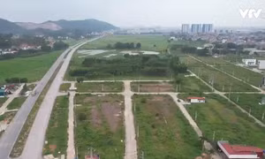 Luật đất đai 2024: Tháo gỡ vướng mắc liên quan đến đất nông nghiệp