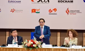 Doanh nghiệp FDI tiên phong trong thực hiện Chiến lược tăng trưởng xanh