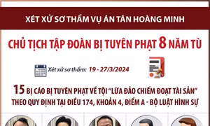 Chủ tịch Hội đồng quản trị Tập đoàn Tân Hoàng Minh bị tuyên phạt 8 năm tù
