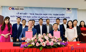 Doanh nghiệp Vân Đồn ký hợp tác nuôi trồng thủy sản với doanh nghiệp Hà Lan 
