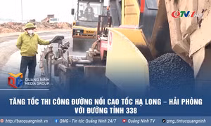 Tăng tốc thi công đường nối cao tốc Hạ Long – Hải Phòng với đường tỉnh 338