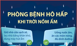 Kiến thức cần biết để phòng bệnh hô hấp khi trời nồm ẩm