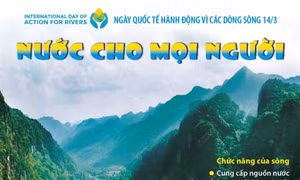 Ngày Quốc tế hành động vì các dòng sông 14/3: Nước cho mọi người