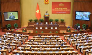 ĐBQH Nguyễn Thị Thu Hà: Nâng cao hiệu lực, hiệu quả của các luật, nghị quyết, chính sách do Quốc hội ban hành