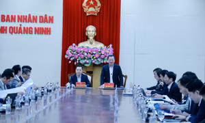 UBND tỉnh làm việc với Tập đoàn Điện lực Việt Nam