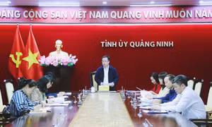 Nghe báo cáo tình hình triển khai mô hình "chi bộ bốn tốt", “đảng bộ cơ sở bốn tốt”