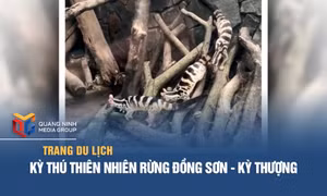 Kỳ thú thiên nhiên rừng Đồng Sơn - Kỳ Thượng