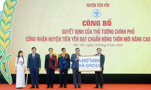 Tiên Yên đón nhận huyện đạt chuẩn nông thôn mới nâng cao, tháng 3-2024