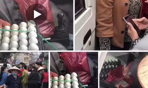 Tìm ra người 'ném' hơn 1 tỷ đồng vào ô tô của người phụ nữ bán trứng gà