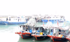 Hạ Long: Tiếp tục bắt giữ 3 tàu cá khai thác thủy sản trái phép