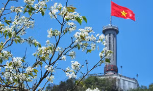 Muôn hoa khoe sắc ở Hà Giang