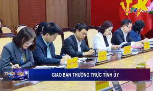 Giao ban Thường trực Tỉnh ủy