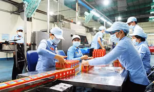 Sự trở lại của Nghị quyết 02 và kỳ vọng của doanh nghiệp về cải cách môi trường kinh doanh