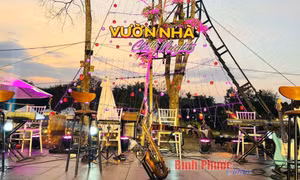 Những điểm đến hấp dẫn 
