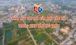 Phát huy vai trò của HTX trong kinh tế nông thôn