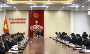UBND tỉnh họp đẩy nhanh triển khai đề án thí điểm mô hình phát triển kinh tế ban đêm